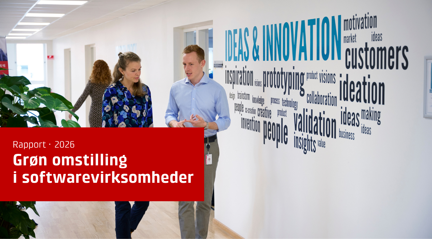 Grøn omstilling i software-virksomheder, speicalister i dialog